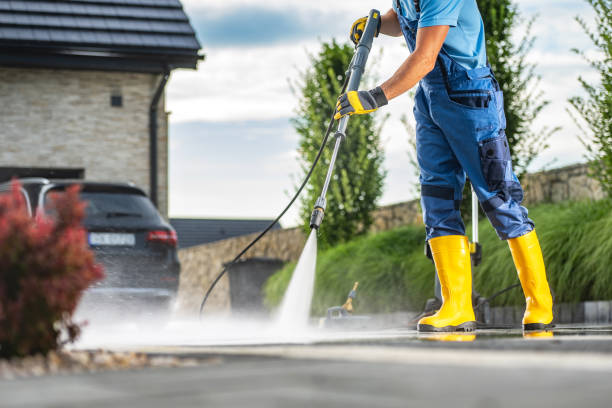 Best Sidewalk and Walkway Cleaning  in Terra Alta, WV
